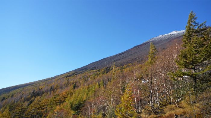 富士山