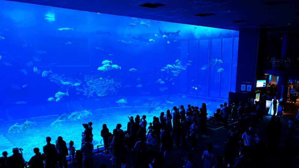 沖縄美ら海水族館