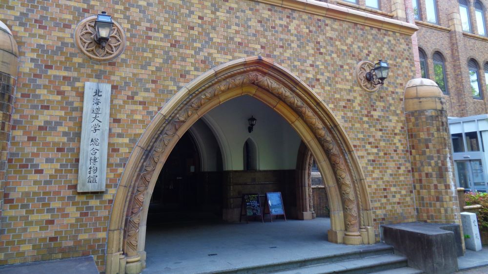 北海道大学総合博物館