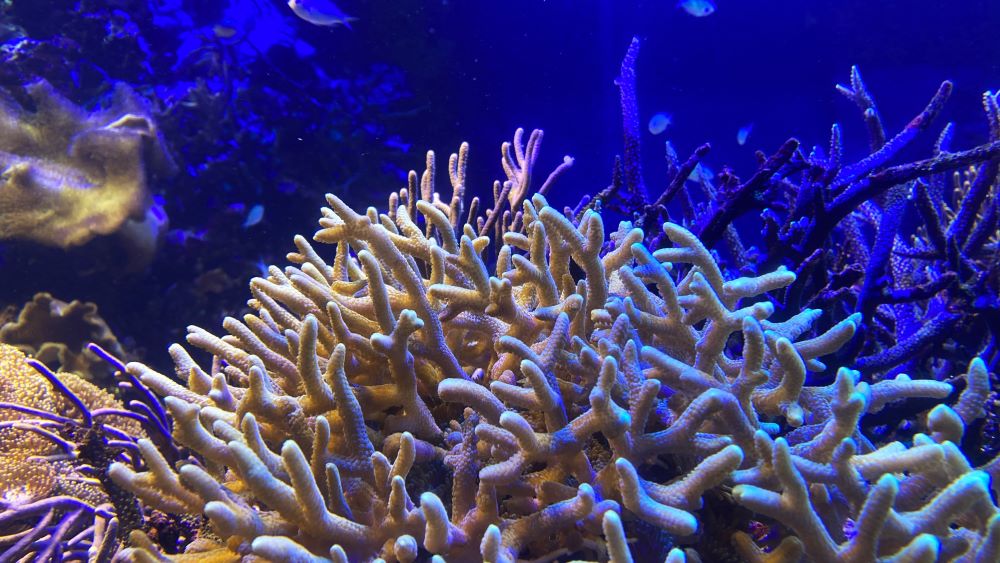 鳥羽水族館