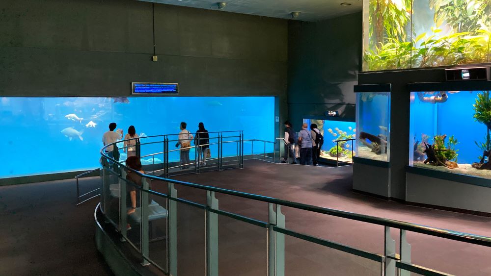 鳥羽水族館