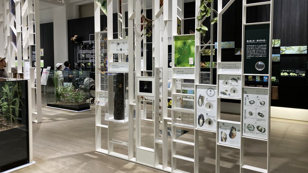 かわさき宙と緑の科学館