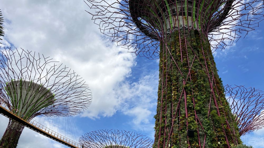 ガーデンズ・バイ・ザ・ベイ