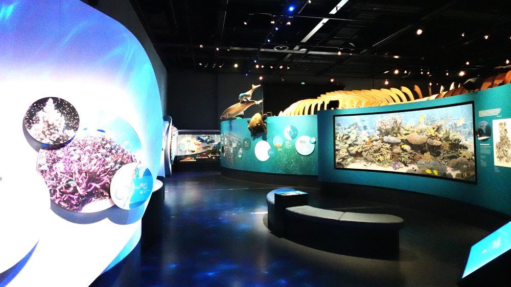 西オーストラリア州立博物館