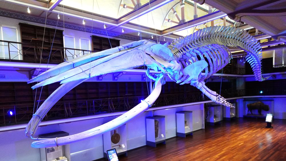 西オーストラリア州立博物館